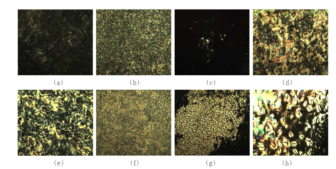 Cross-polarized optical micrographs of compound Ⅴc (magnification × 200); (a) on heating at 147 ℃, (b) on heating at 155 ℃, (c) on heating at 173℃, (d) on heating at 197 ℃, (e) on cooling at 142℃ , (f) on cooling at 150 ℃, (g) on cooling at 173 ℃, (h) on cooling at 21