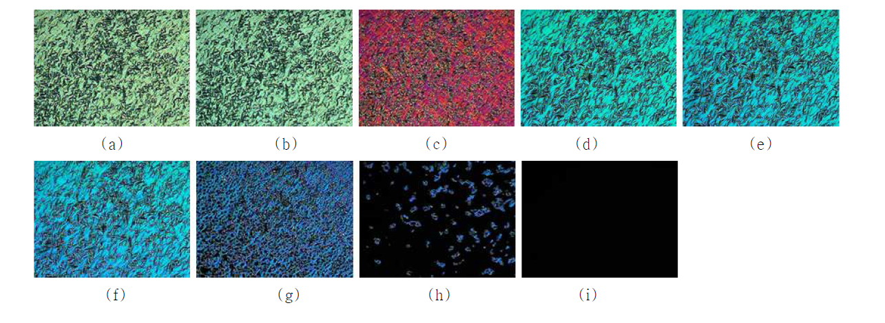 화합물 Vd를 주입한 수평배향셀에서 주어진 온도에서 관찰된 직교 광학현미경 사진; (a) 50 ℃ , (b) 100 ℃ , (c) 110 ℃, (d) 120 ℃, (e) 130 ℃ , (f) 140 ℃ , (g) 150 ℃ , (h) 160 ℃ , (i) 170 ℃
