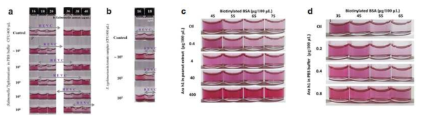 설계한 검출 system을 이용하여 a)완충용액과 b)토마토에서 Salmonella Typhimurium을 검출한 결과 및 c)완충용액과 d)땅콩 추출액에서 Ara h1을 검출한 결과.