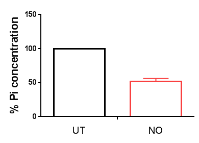 NO에 의한 세포내 자유 Pi의 감소.