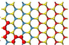 MoX2/WX2 (X=S, Se, Te)