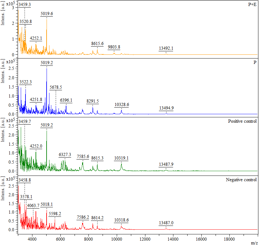 MALDI-TOF MS/MS spectrum for small proteins obtained from Eisenia fetida.
