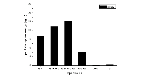 Specimens of impact test.