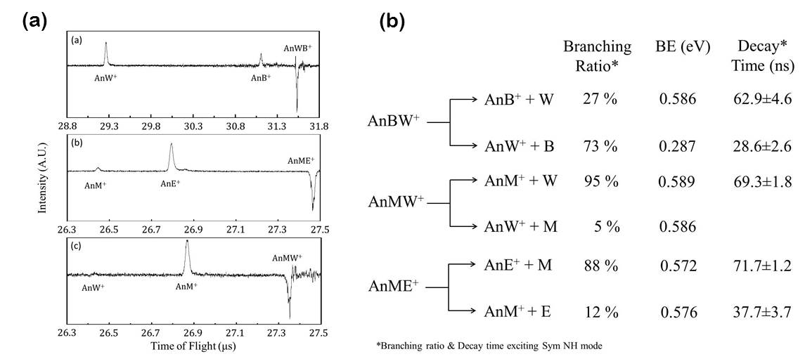 AnBW, AnME, AnMW 클러스터의 IR 광분해 질량스펙트럼(a), 클러스터의 IR 광분해 채널의 branching ratio, binding energy(BE), decay time (ns) (b)