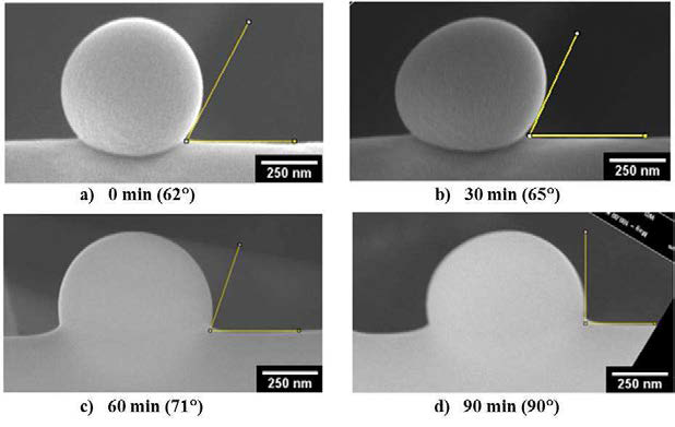 Thermal annealing 시간에 따른 P/Si-10 나노섬유의 SEM micrographs