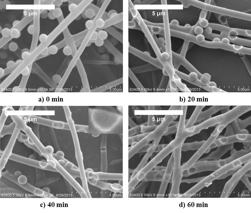 Ultrasonication 시간에 따른 90분 동안 annealing한 P/Si-10 복합섬유 표면의 SEM micrographs