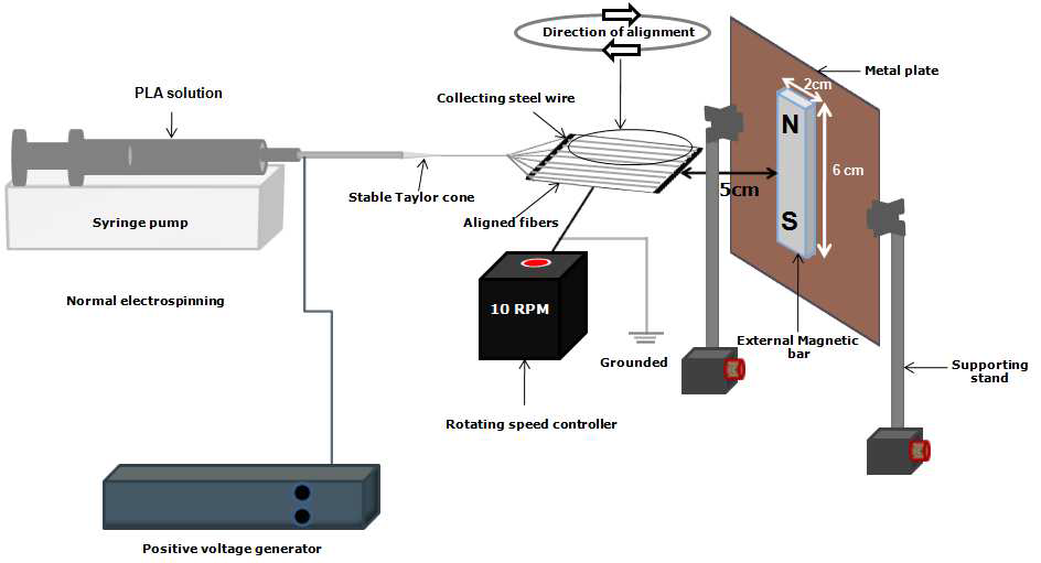 Electrospinning 장치의 개략도