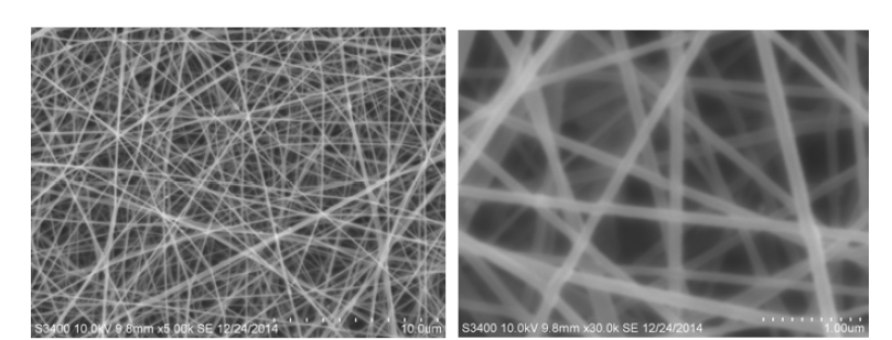 2시간 광가교 후 chitosan nanofiber의 morphology