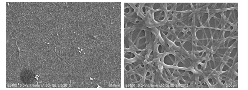 12시간동안 이온가교 후 키토산-TPP nanofiber의 morphology