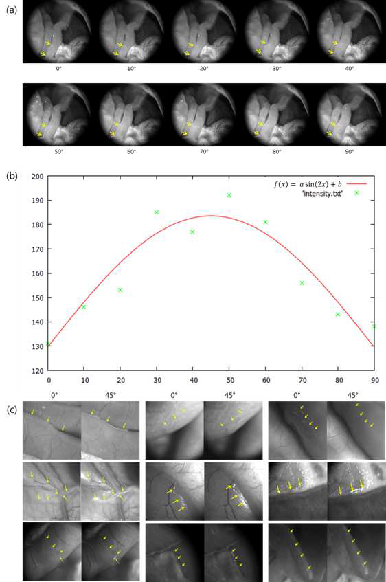 Changes of the brightness in the NTS by changing the polarization angle of incident light