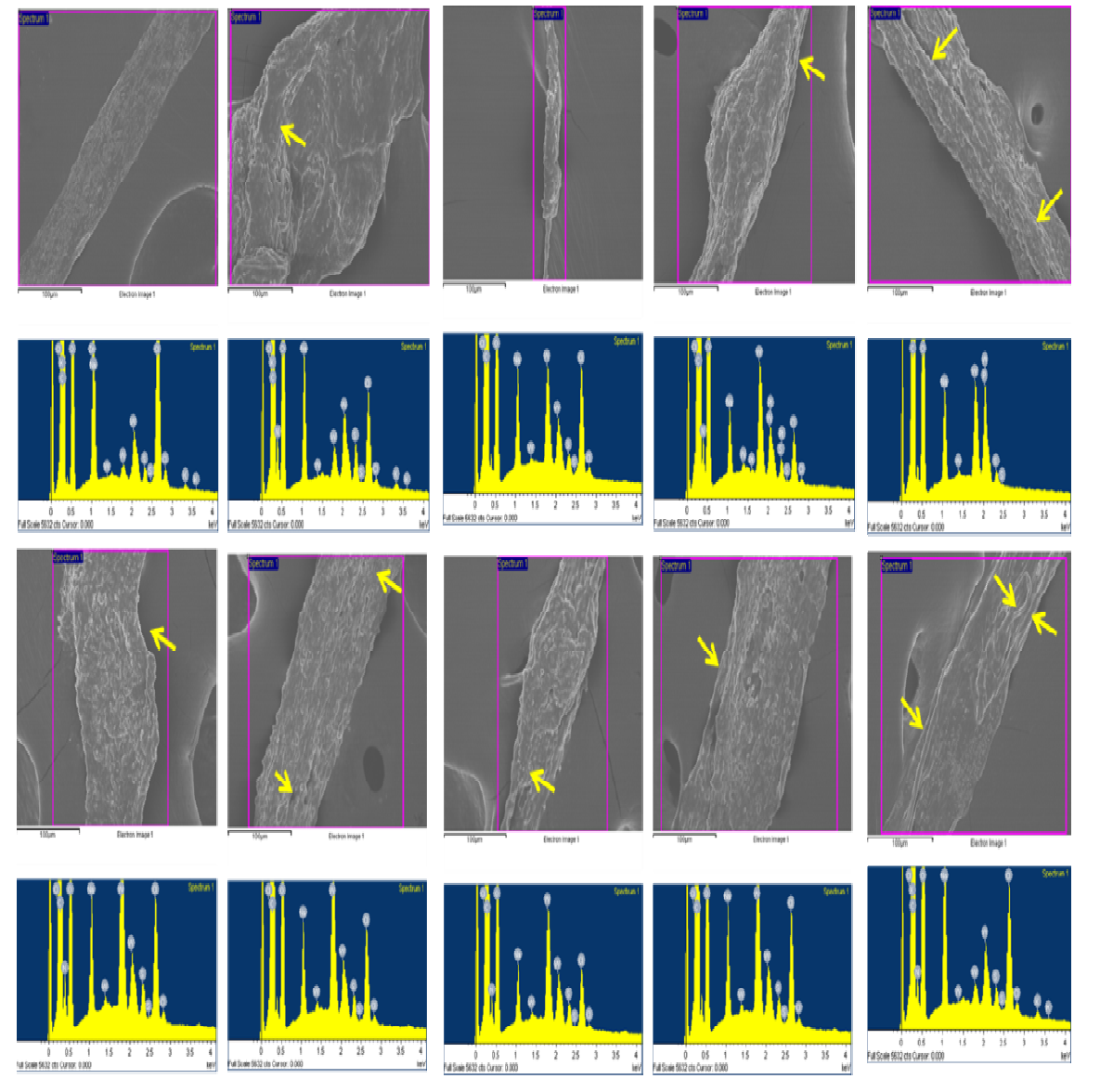 EM study results for 10 Os-NTSs. Some line structures are found on the surface of Os-NTS and the lines are marked by yellow arrows on figures.