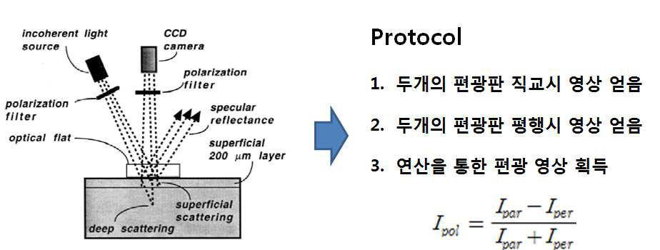 편광 현미경을 이용한 편광 영상 기법