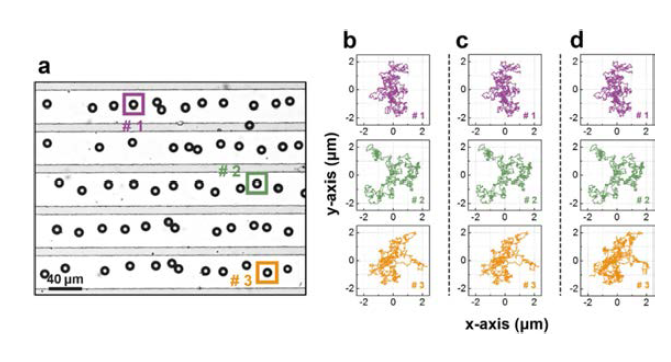 (a) MDFS 시스템 내 미세입자 광학 이미지, Particle Tracking methods (b) Image J software (c) Radial symmetry method (d) CHT method