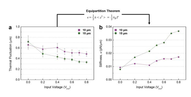 (a) 전압에 따른 미세입자의 x축 움직임 변화 (b)Equipartition theorem을 이용한 Stiffness 분석