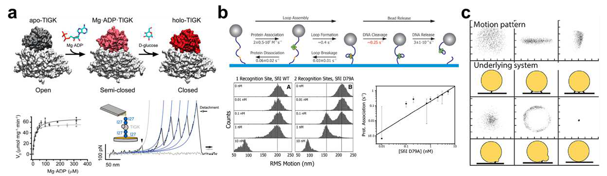 enzyme acitivity 관측연구최신동향