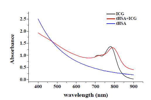 알부민 입자에 ICG가 잘 결합되었음 을 보여주는 UV-spectrum data.