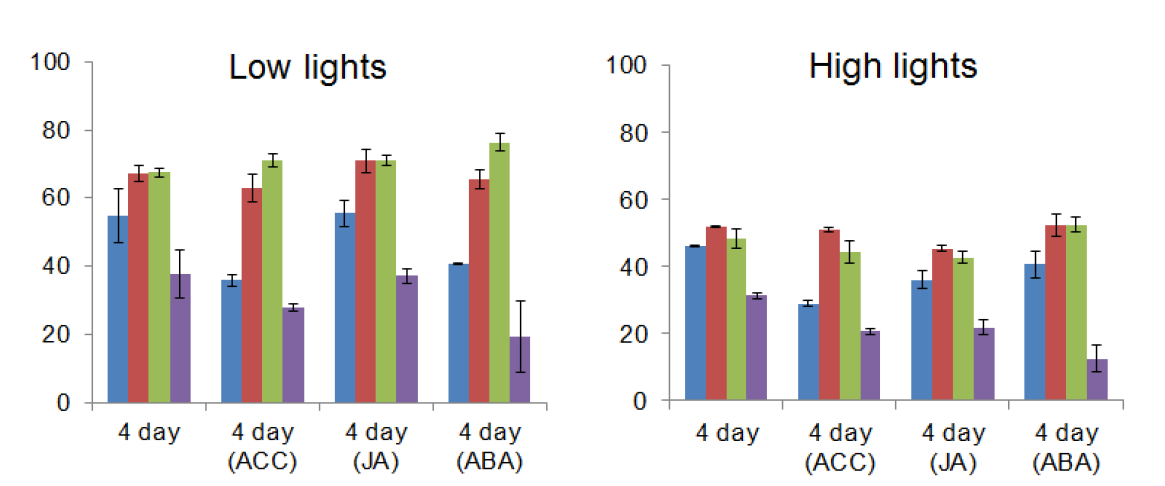 Plant senescence patterns in response to plant stress hormones and light conditions.