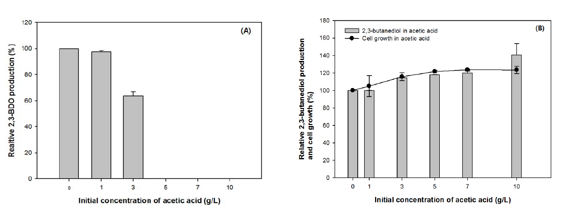 아세트산 농도에 따른 2,3-부탄다이올 생산량 비교 실험 (초기 pH 조절이 없는 경우(A)와 초기 pH를 6.5(B)로 적정한 경우)