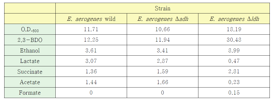 E. aerogenes 균주와 개발 균주들의 2,3-부탄다이올과 다른 부산물들의 생산량 비교 실험