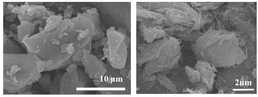 PANI/Laponite (왼)와 PANI/Attapulgite(오)의 주사전자현미경 사진