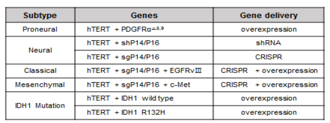 교모세포종 4가지 subtype과 이차성 교모세포종 특이적 유전자 및 유전자 전달방법 요약