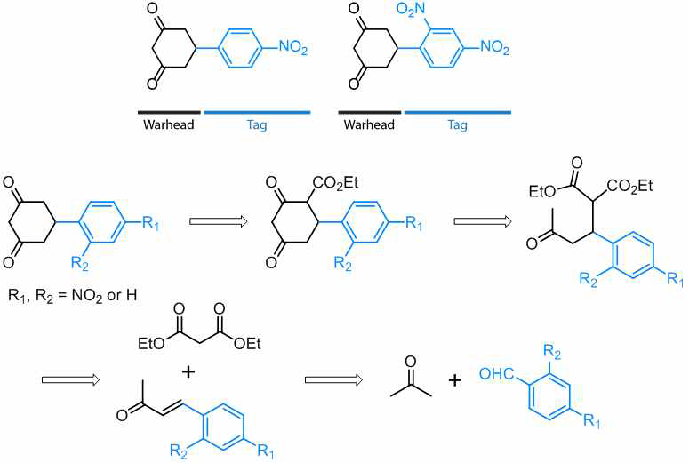 단백질의 sulfenic acid 탐침 화합물 설계 및 합성법