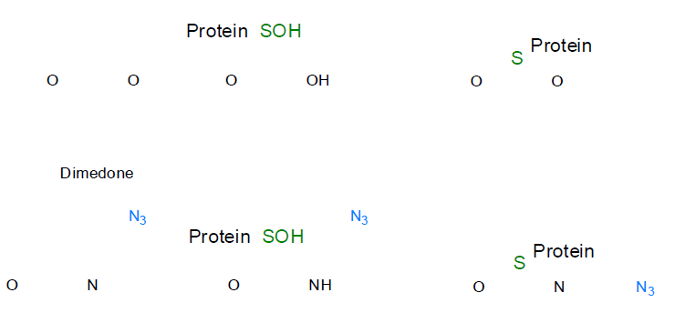 단백질의 sulfenic acid (R-SOH) 변형의 탐침 전략