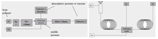 Schematic Diagram of MDGC/MS System for chiral volatile Compoound analysis