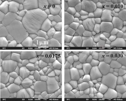 Nb 치환량 x의 변화에 따른 BNKT-ST 세라믹스 의 미세구조의 변화