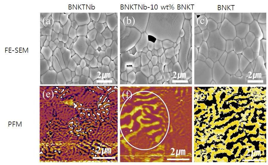 BNKTNb-BNKT 복합소재의 미세구조와 국부적 분극 특성 관찰 결과