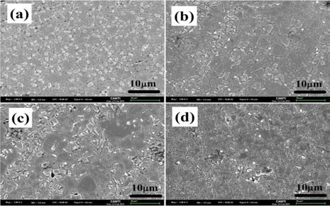 복합소재의 소결 후 미세구조 사진 (a) f=0, (b) f=0.1, (c) f=0.3, (d) f=1