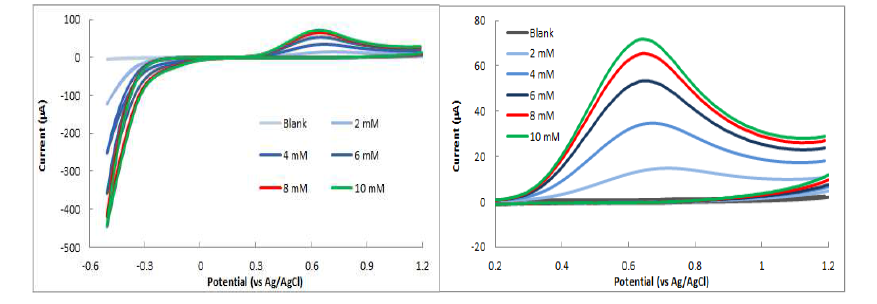 파아지-그래핀-프루시안블루 하이브리드를 활용한 여러 농도의 과산화수소에 대한 순환 전압전류 결과와(좌), 피크 부분만 확대(우).