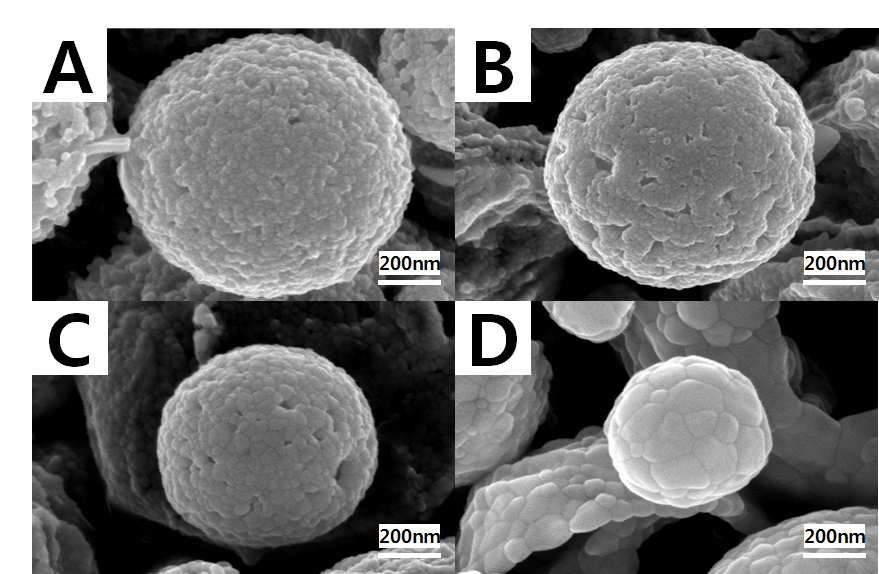 Field-emission SEM images of ZnO powder prepared in the micro drop/bubble fluidized reactor(UC = 6.0 L/min, UMB = 0.2 L/min, CZn = 0.4 mol/L).
