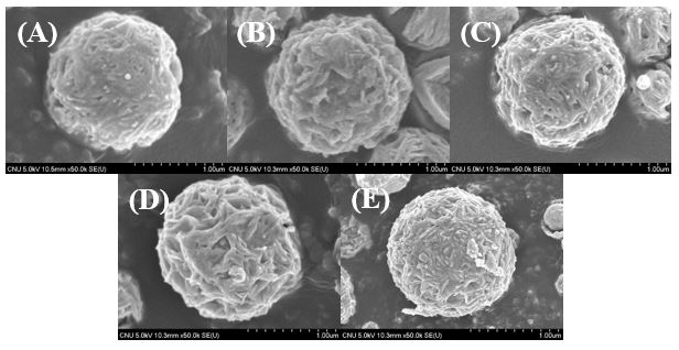 Field-emission SEM images of ZnO:Al/Cu prepared in a micro drop fluidized reactor : Al, Cu(1.0at.%), UMB(L/min):(A)0, (B)0.2, (C)0.4, (D)0.6, (E)0.8, (F)1.0.