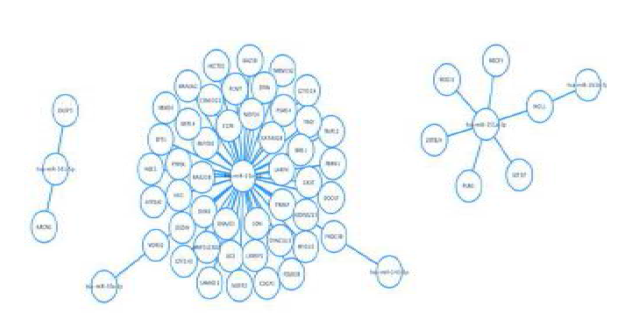 Interaction map of miRNAs and target mRNAs that were differentially expressed between COPD patients and smokers with normal lung function.