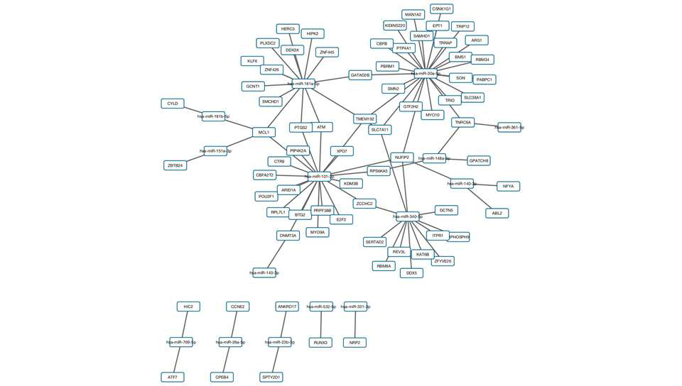 Interaction map of miRNAs and target mRNAs that were differentially expressed between COPD patients and smokers with normal lung function.