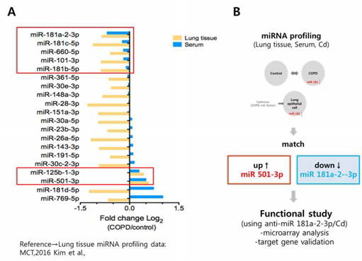 The relationship between serum and lung miRNA profiling