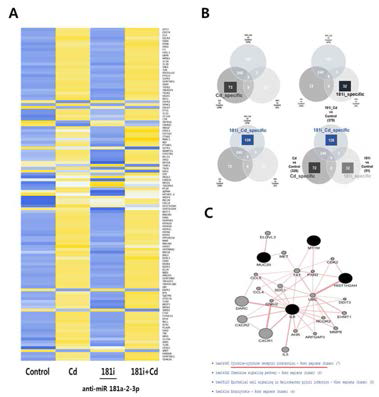 Gene expression profiling and bioinformatics analysis