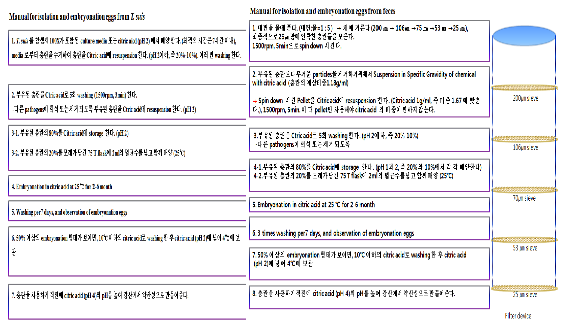 편충란 분리를 위한 매뉴얼 개발