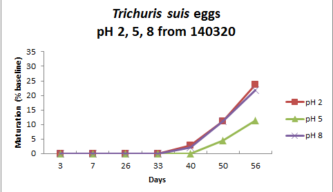pH별 돼지 편충란 성숙도