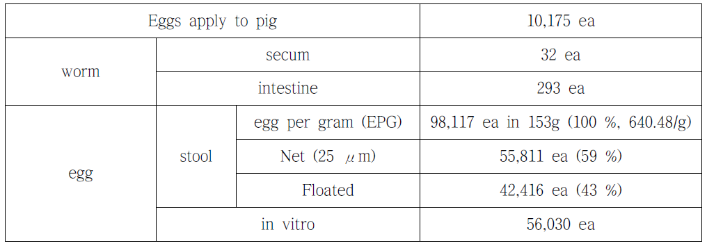 자체공정으로 생산된 편충란의 돼지에 투여 후 분리된 충체의 수와 충란의 수
