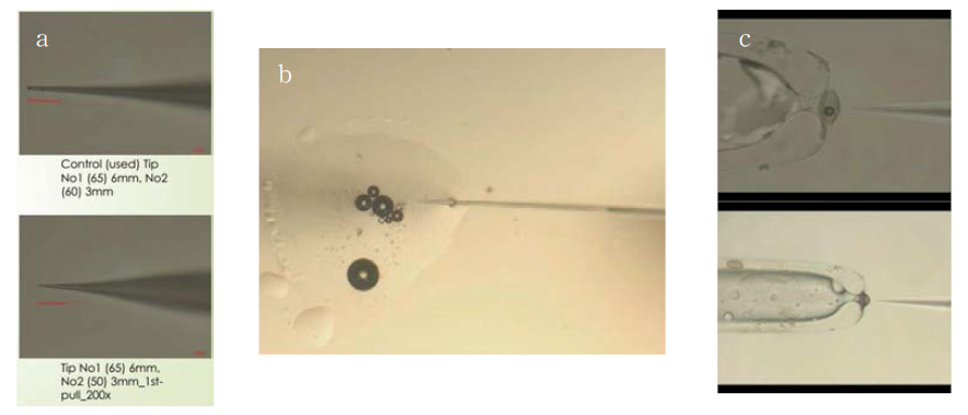 a: micro-injection needle 제작, b: plasmid DNA의 삽입, c: holding pipette에 충란 고정 후 접종 실시