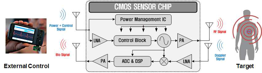 본 연구에서 개발하고자 하는 생체신호 감지용 레이더 센서 단일칩 구조