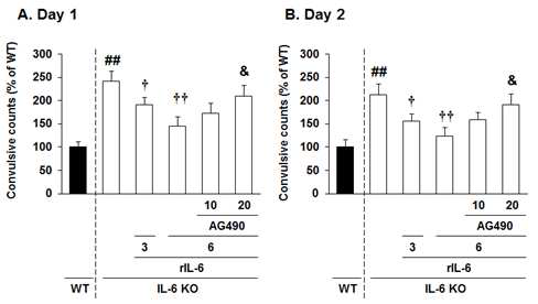 IL-6 KO mice에서 recombinant IL-6 protein (rIL-6; 3 혹은 6 ng, i.c.v.)은 TMT에 의한 경련을 유의하게 억제하였으며, rIL-6의 경련억제 효과는 Stat3 inhibitor인 AG490 (10 혹은 20 mg/kg, i.p.)에 의해 유의하게 반전되었음.