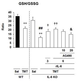 TMT 투여 후 hippocampus에서의 GSH/GSSG ratio의 변화.
