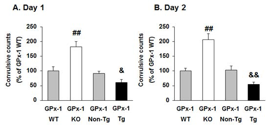TMT에 의한 경련이 GPx-1 KO mice에서는 유의하게 증가된 반면, GPx-1 Tg mice에서는 유의하게 감소되었음
