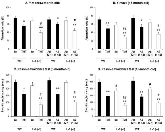 3월령 (A, C)과 15월령 (B, D)의 wild-type mice와 IL-6 KO mice에서 TMT로 유도된 인 지기억능의 저하와 β-amyloid (1-42) [Aβ (1-42)]로 유도된 인지기억능 저하의 비교.