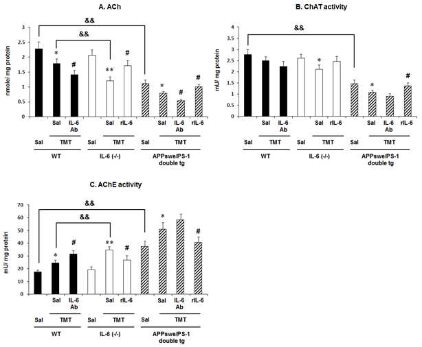 APPswe/PSEN1dE9 이중 과발현 생쥐 (APPswe/PS-1 double tg)에 TMT를 투여하여 나타 나는 cholinergic dysfunction에 대한 IL-6 receptor 중과항체 (IL-6 Ab)와 recombinant IL-6 단백질 (rIL-6)의 효과