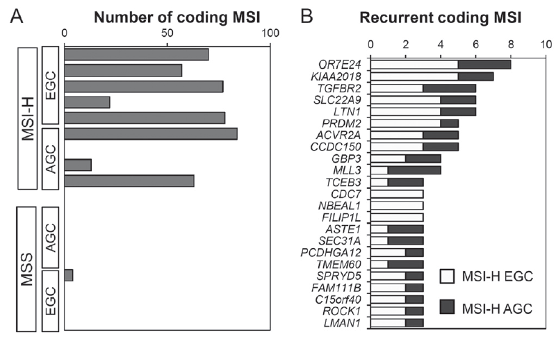17종의 한국인 위암의 엑솜시퀀싱에서 발굴된 coding MSI의 빈도(A) 및 recurrent MSI가 발생하는 유전자위(B).