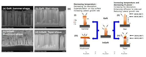 GaN와 InGaN 나노선에 대한 SEM 사진 (a) GaN: hammer shape, (b) GaN: stair shape, (c) InGaN: mushroom shape (d) InGaN: taper shape, (e) 각 성장조건에 대한 모식도